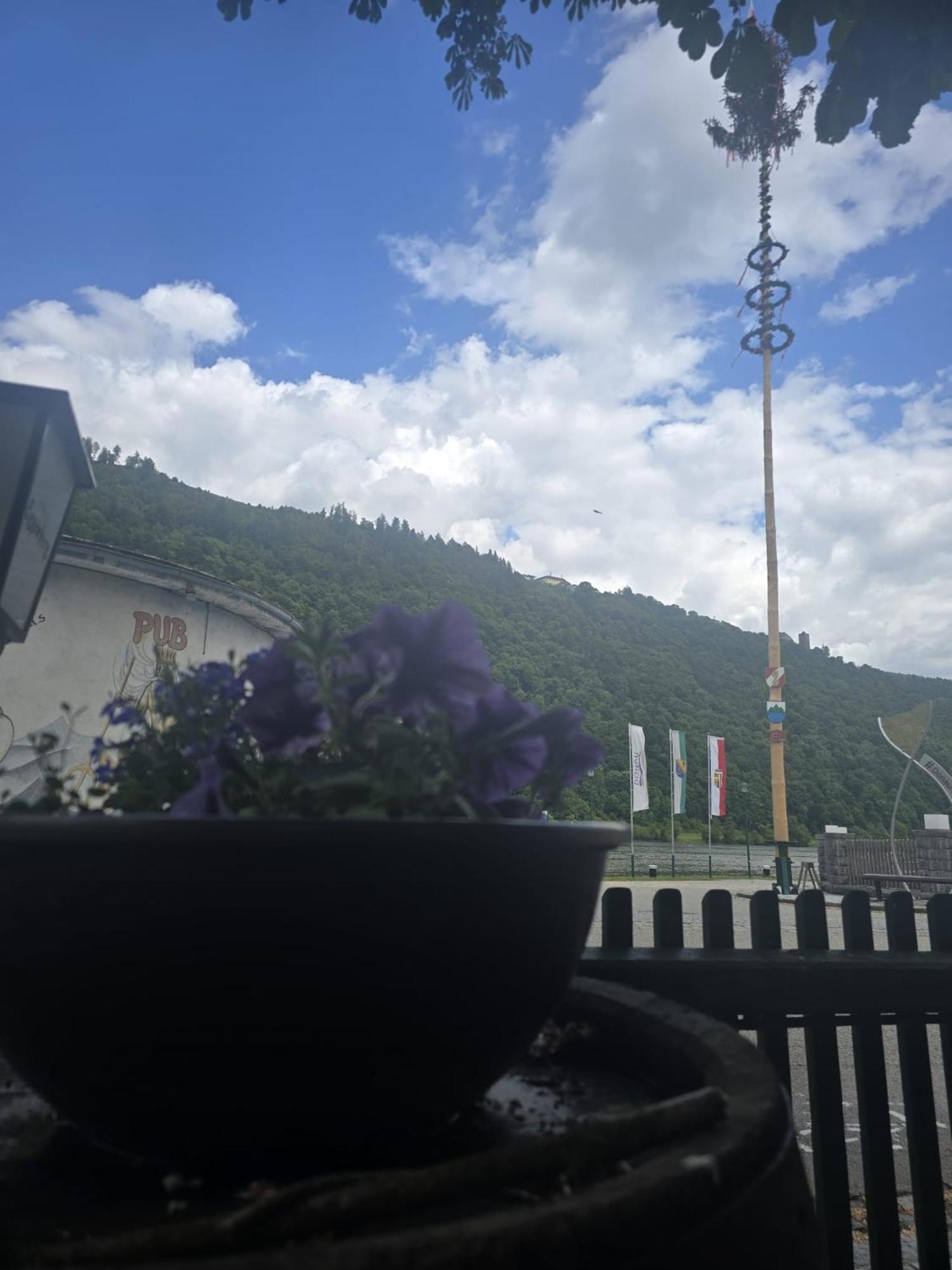 Gasthof Zum Schiffmeister Wesenufer ภายนอก รูปภาพ